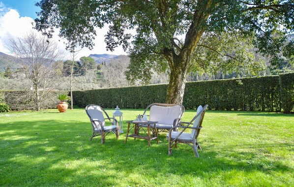 A garden with a table and chairs under a tree, surrounded by a hedge and a view of mountains. - Beautiful apartment in Camaiore (Camaiore)