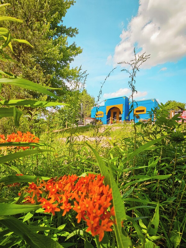 Un bâtiment bleu avec une porte et une fenêtre jaunes, entouré de verdure et de fleurs.