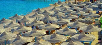 Sharks Bay 飯店及 Padi Butterfly