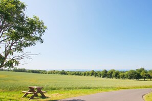 Imagen sin descripción, 5 de 20, botón