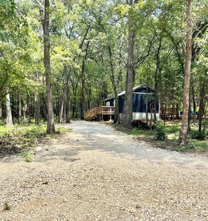 Property grounds - Remote Cabin Hideaway in the woods close to the lake, walking trails, and casino (Kingston)