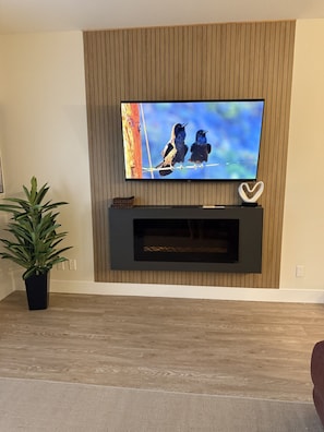 A modern living room with a flat-screen TV mounted on a wooden panel wall, a black entertainment unit below, and a potted plant to the left.