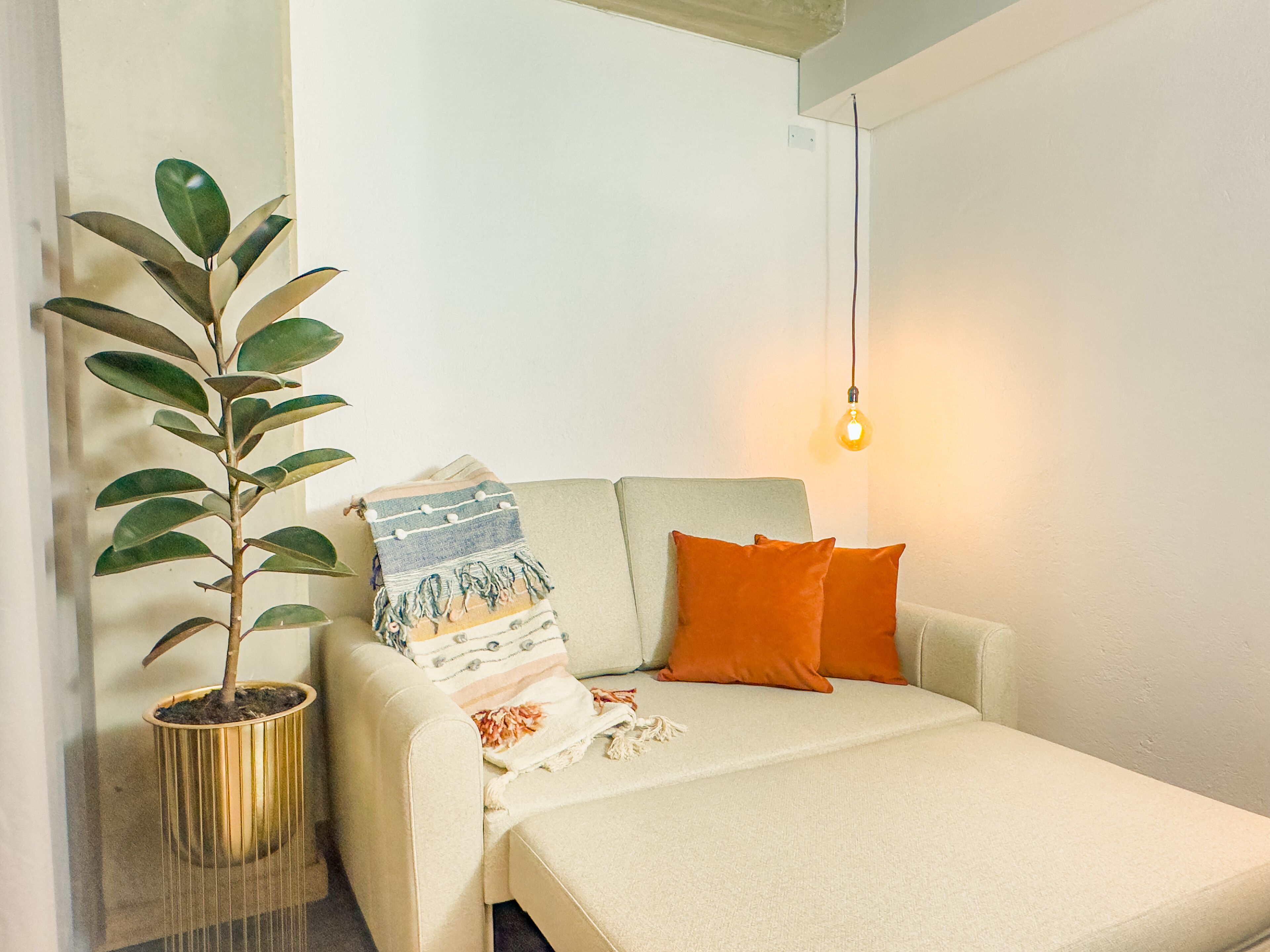 A small, cozy room with a single bed, a potted plant, and a wall-mounted light fixture.