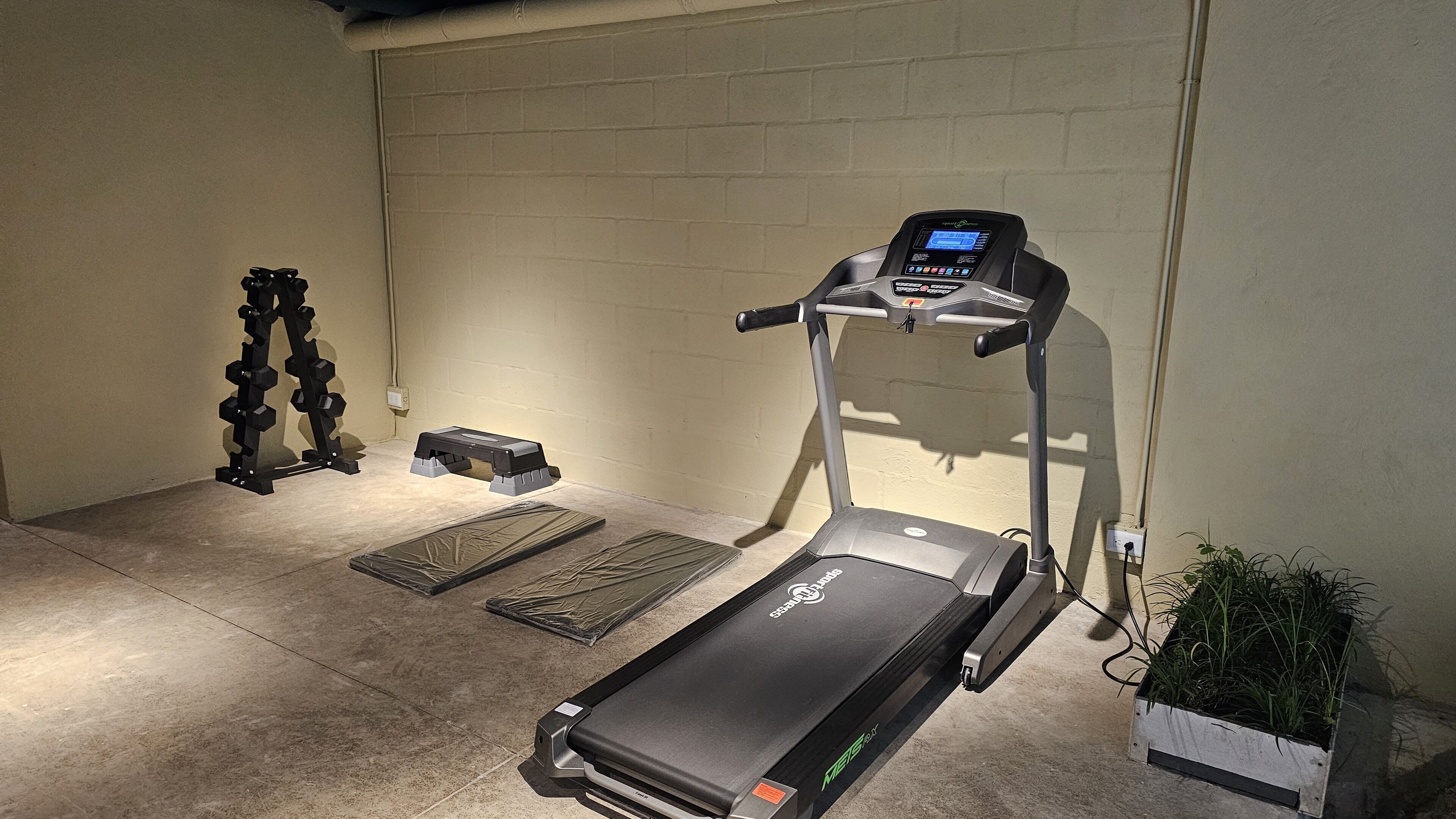A home gym with a treadmill, stepper, and dumbbells.