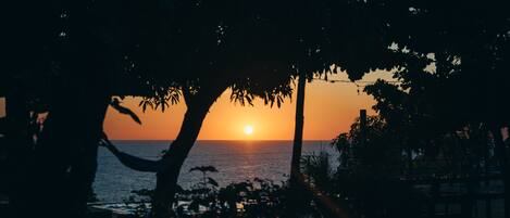 Un atardecer sobre el océano con siluetas de árboles y una playa en primer plano.