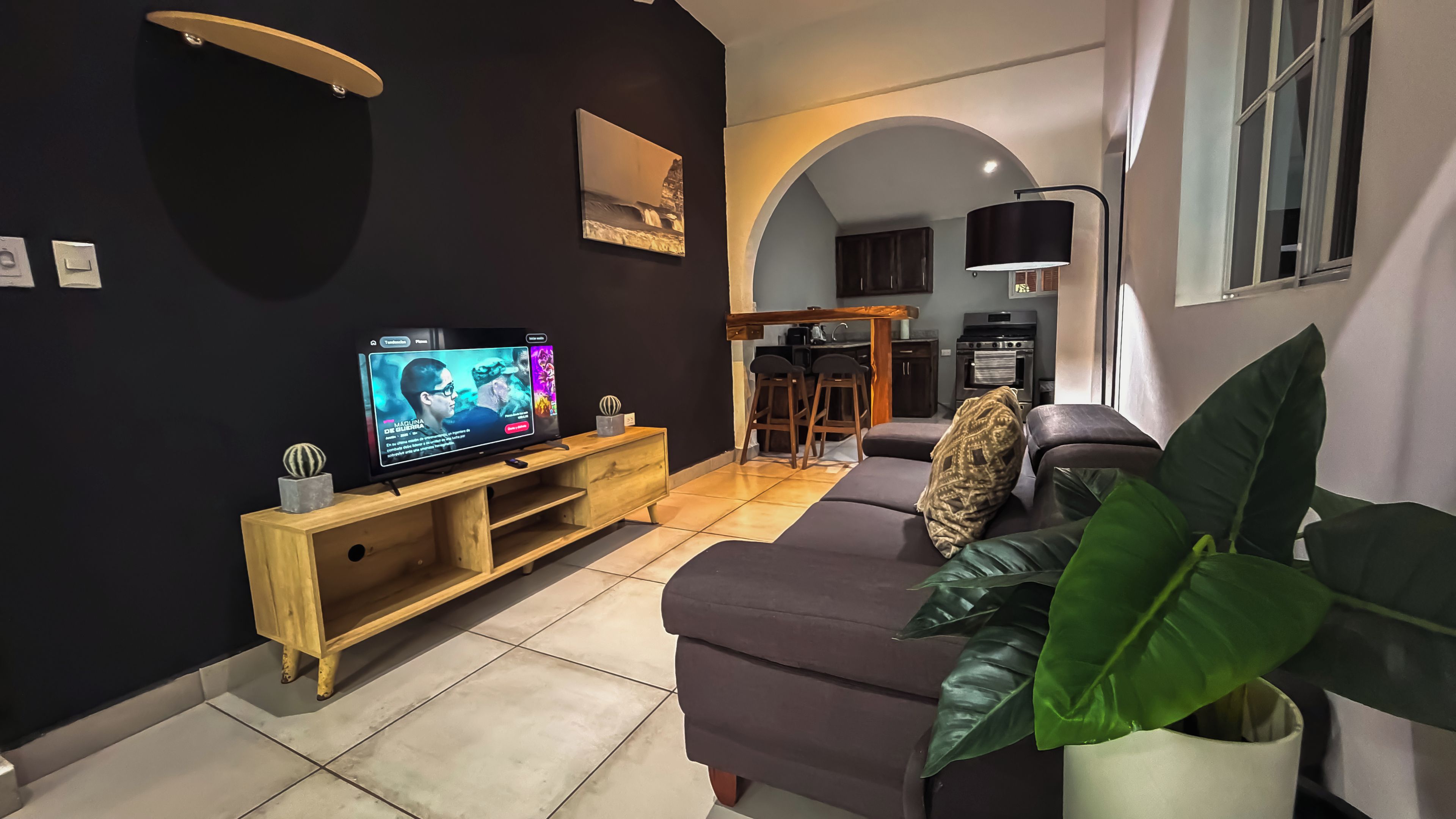 A living room with a flat-screen TV, a sofa, a coffee table, and a potted plant.