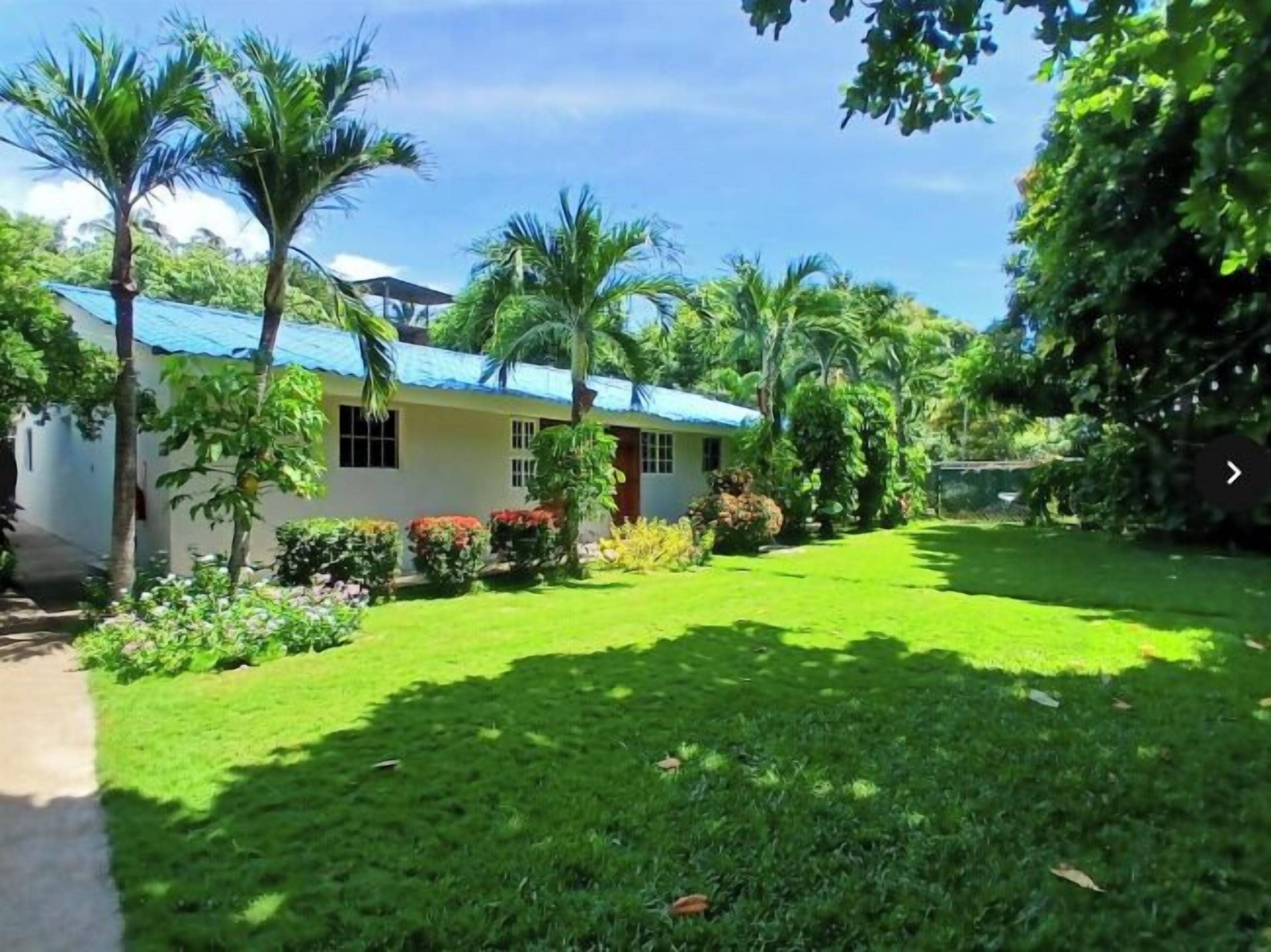 A house with a blue roof, surrounded by a well-maintained lawn and palm trees.