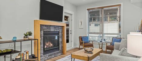 TV, fireplace, books