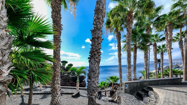 A coastal area with palm trees, a paved walkway, and a view of the sea. - Casa el Varadero - Pool and Gym By LVH (Puerto del Carmen)
