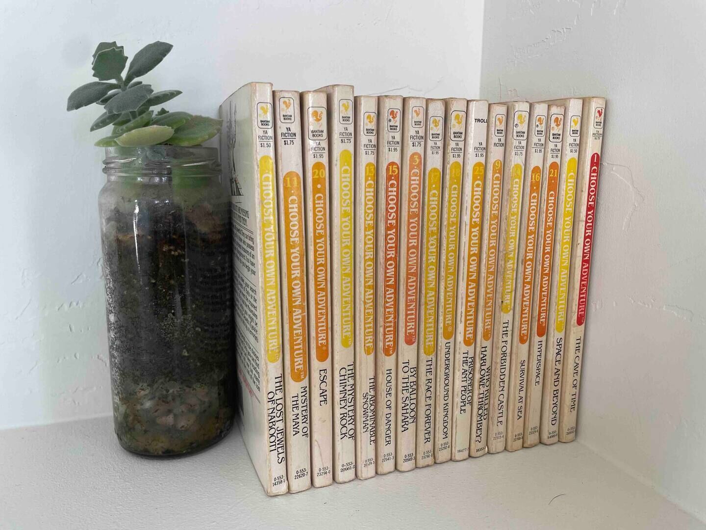 A collection of books titled 'Choose Your Own Adventure' next to a glass jar with a plant.