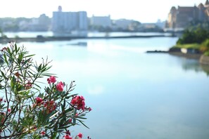 A calm river with a cityscape in the background. - KaigakuOsen Resort Shirahama (Shirahama)