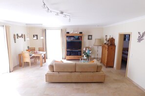 TV connectée, cheminée, lecteur de DVD