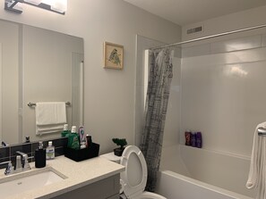 Tina de hidromasaje, secadora de cabello, bidet, toallas