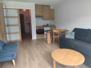 TV - Central studio with south balcony and parking in La Chapelle-d'Abondance (La Chapelle-d'Abondance)