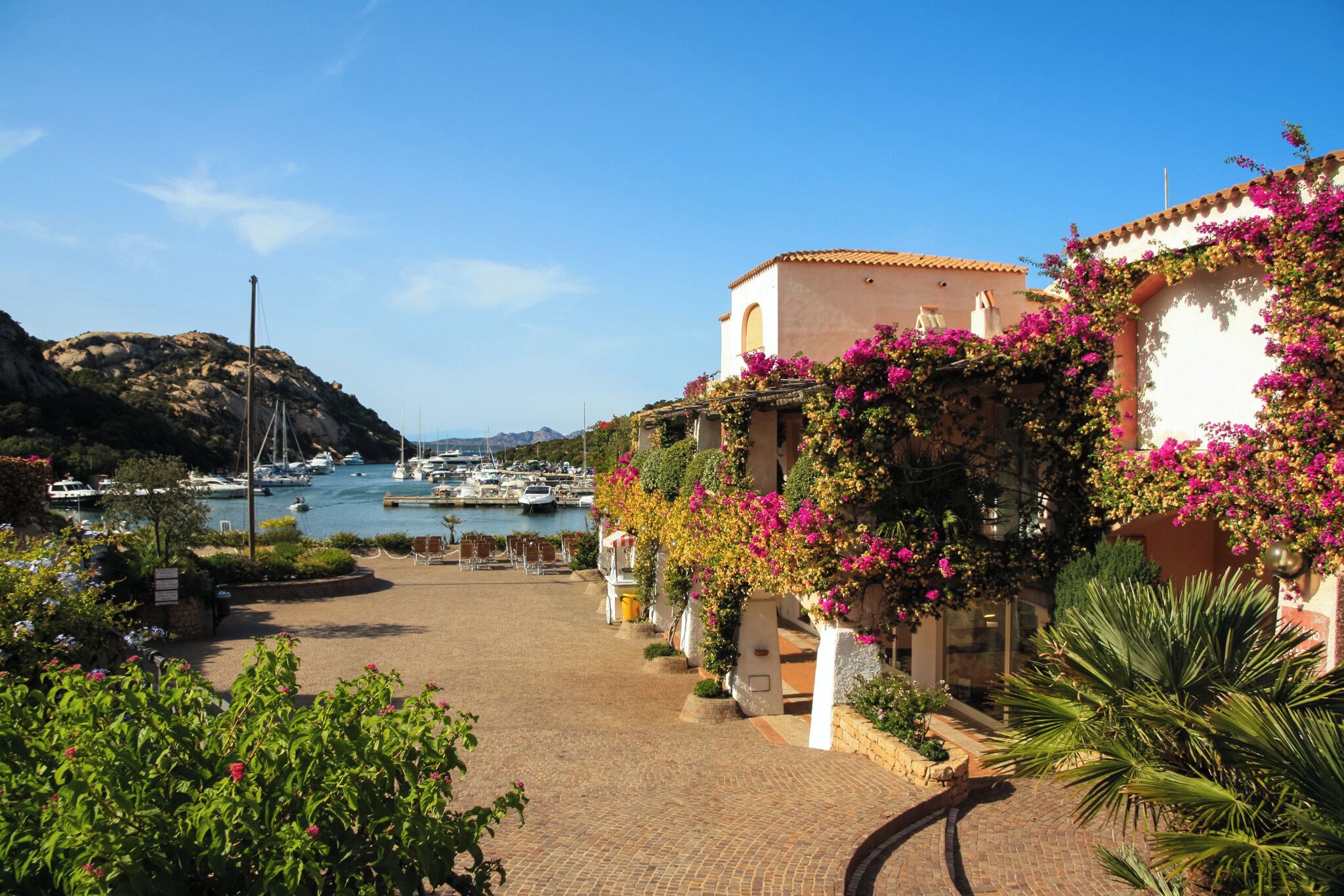 A coastal building with a view of boats in the marina, surrounded by greenery and flowers.