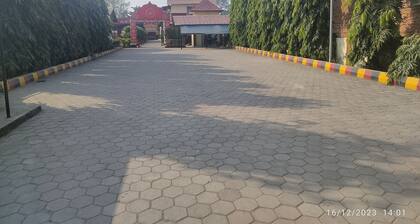 Rose guest house