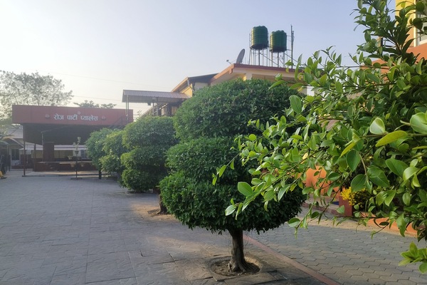 Garden