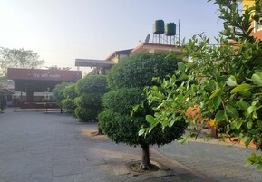 Jardín