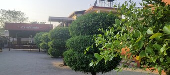 Rose guest house