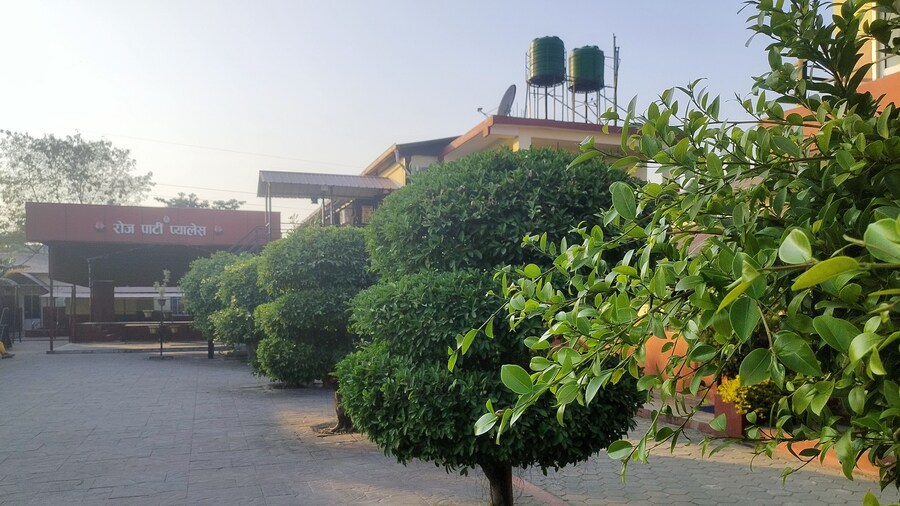 Rose guest house