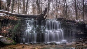 A waterfall in a forested area with a rocky foreground and a fallen tree.