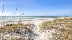 A sandy beach path leading to the ocean with tall grasses.