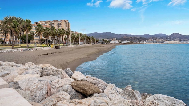 Una spiaggia costiera con uno sfondo roccioso, una spiaggia sabbiosa e una fila di palme.