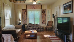 TV, DVD player, books, video library