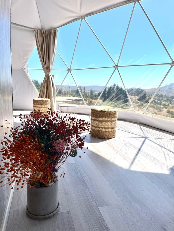 Una habitación con un ventanal grande, una planta en maceta y dos cestas tejidas.