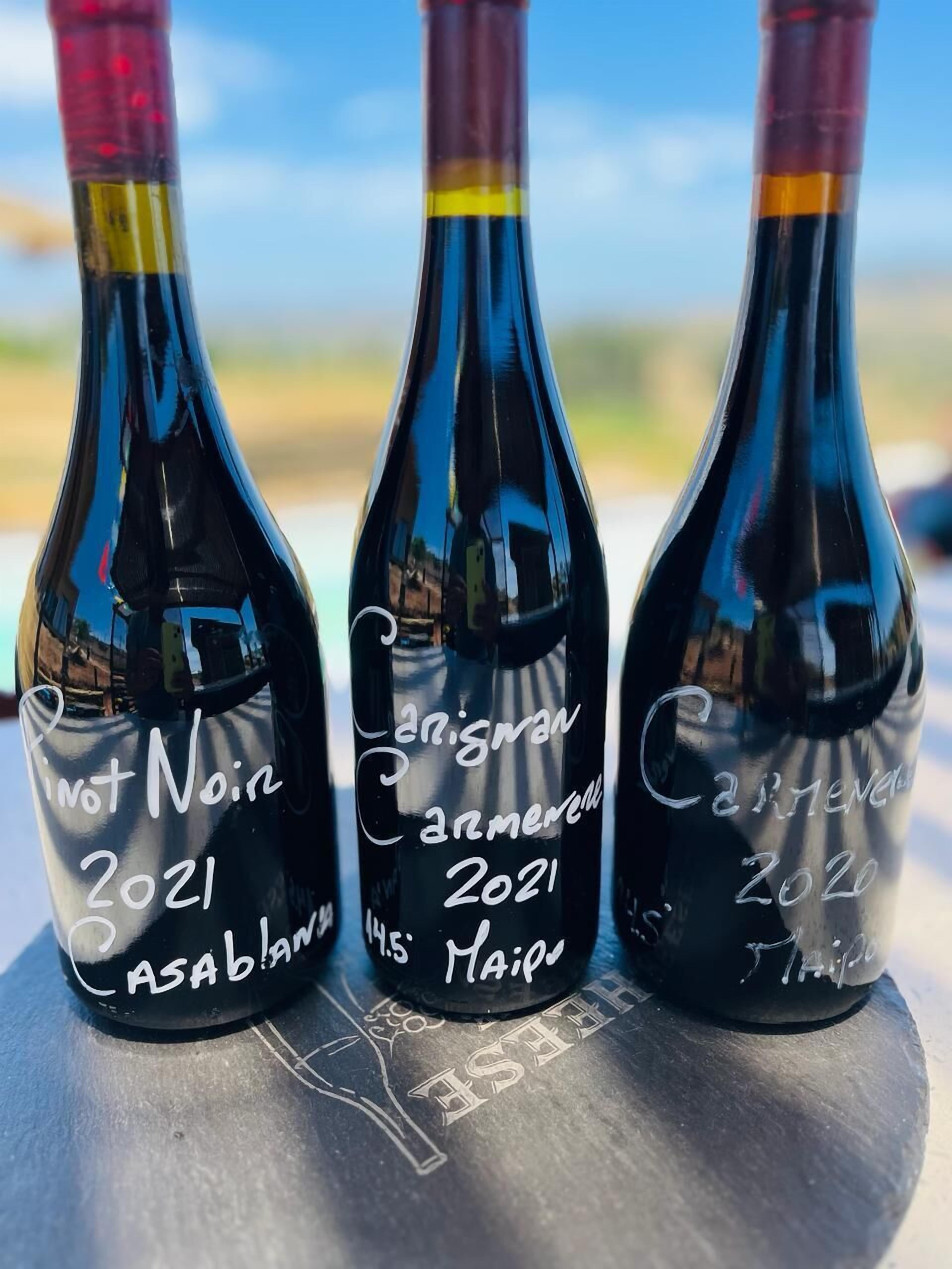 Trois bouteilles de vin, dont les étiquettes sont gravées, sont posées sur une table, avec un arrière-plan extérieur flou.