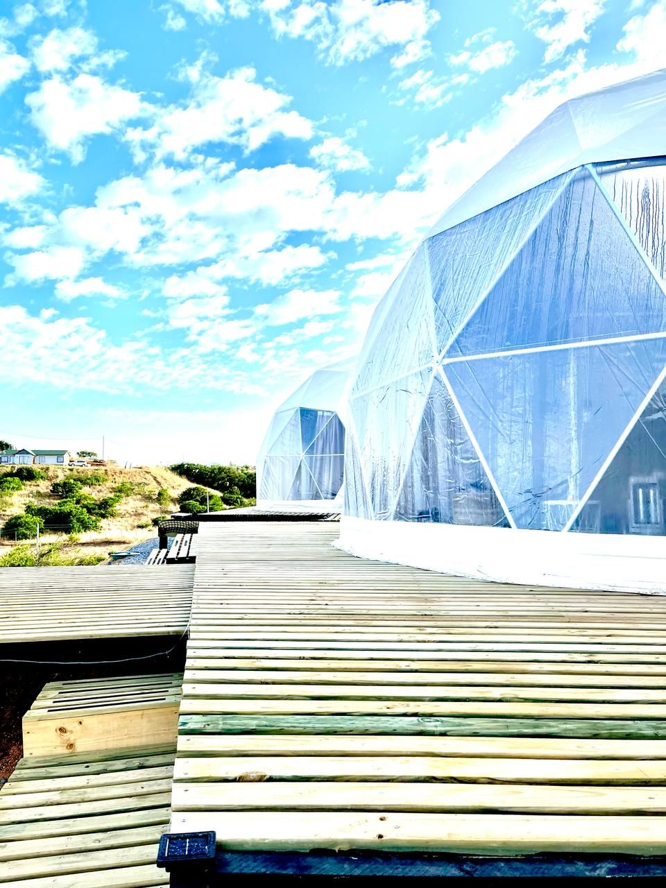 A transparent geodesic dome structure with a wooden deck leading to it.