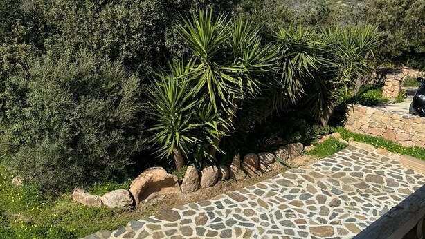 A stone pathway with a wooden railing, surrounded by dense shrubbery and trees. - 75 m² indépendant villa in Abbiadori, costa smeralda, Sardinia (Abbiadori)