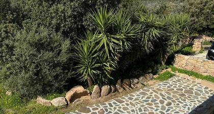 75 m² indépendant villa in Abbiadori, costa smeralda, Sardinia