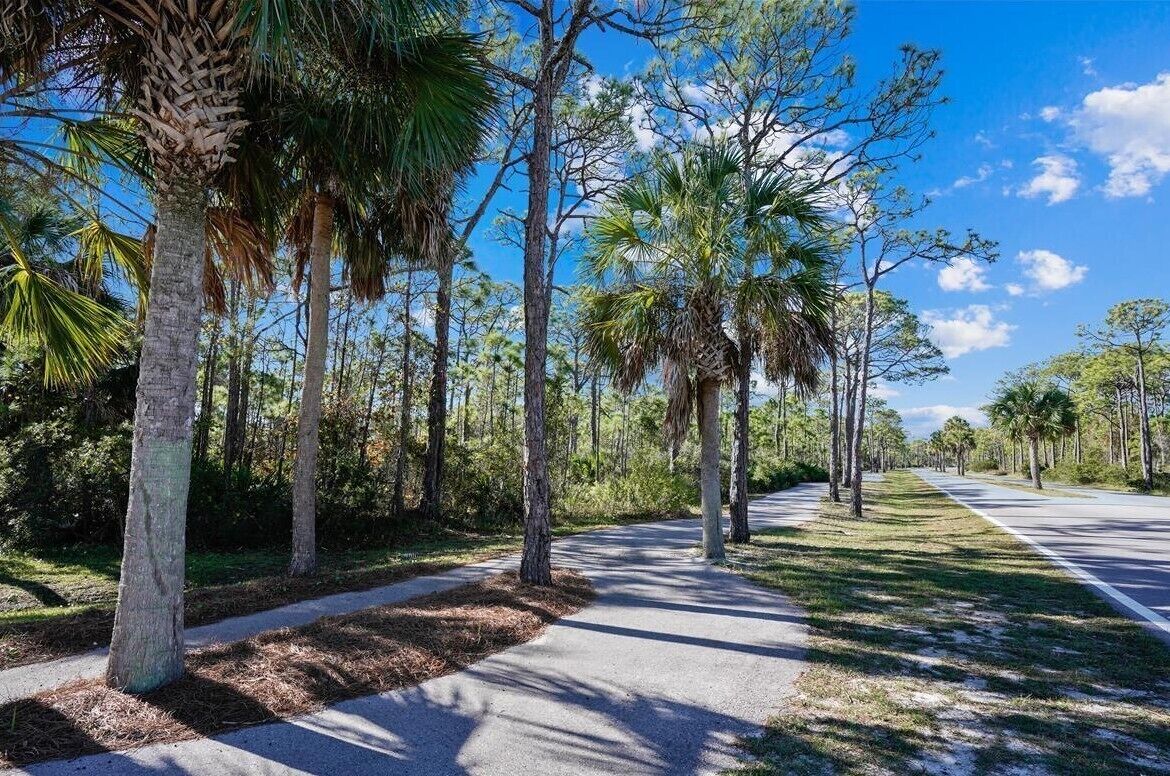 A paved road lined with tall trees and a clear blue sky.
