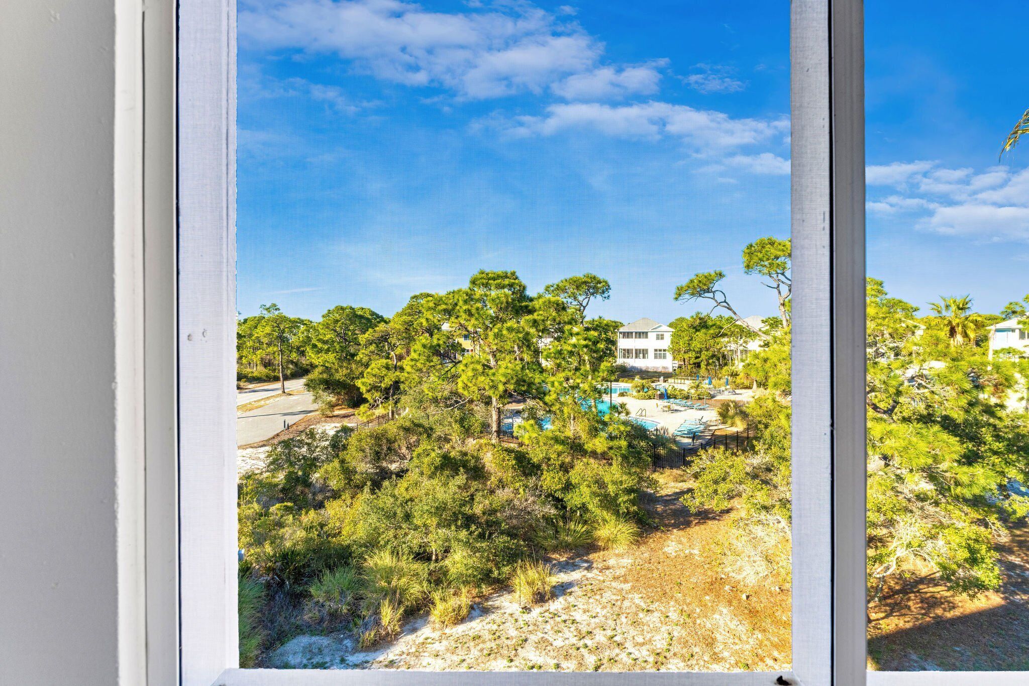 A view through a window of a residential area with trees, a swimming pool, and a house.