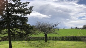 Un campo cubierto de hierba con árboles y una cerca.