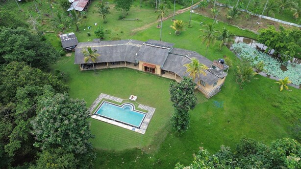 An aerial view of a house with a swimming pool, surrounded by lush greenery and palm trees.