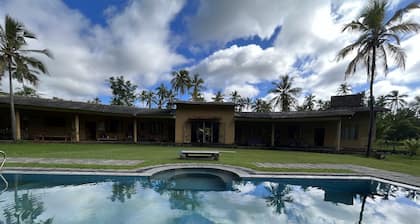 Rivendell Twisted Tree