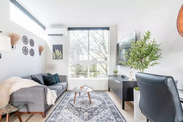 Smart TV, computer monitors