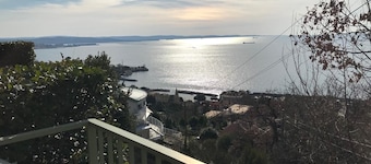 B&B Trieste Sea Life