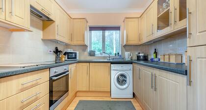 Ffynnon Dewi - UK45909