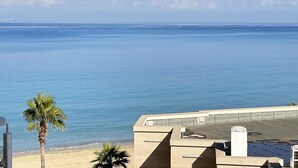 Vista costera con cielo despejado, mar tranquilo y una palmera.