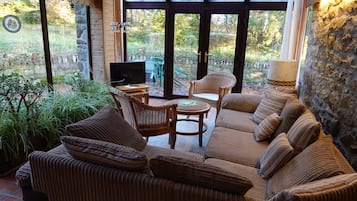 TV, fireplace, books