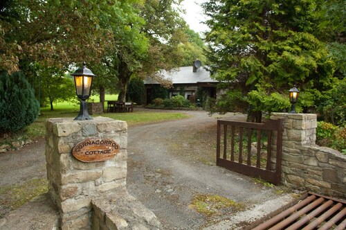 Idyllic cottage with its own rowing boat directly at the Shannon 
