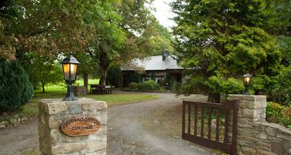 Idyllic cottage with its own rowing boat directly at the Shannon