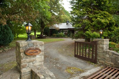 Idyllic cottage with its own rowing boat directly at the Shannon 