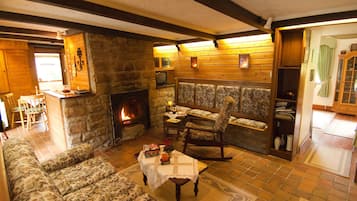 TV, fireplace, books