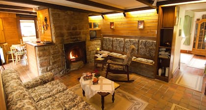 Idyllic cottage with its own rowing boat directly at the Shannon
