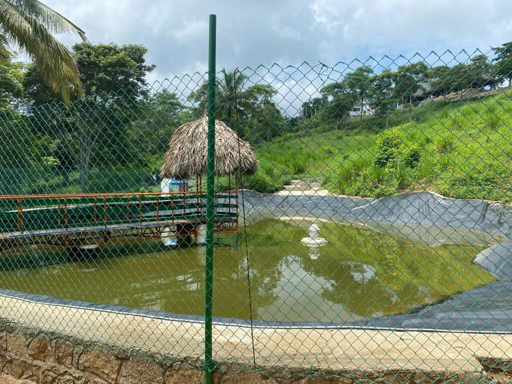 Un recinto amurallado con fuente de agua y una construcción con techo de paja.