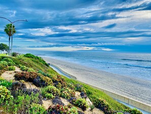 A coastal walkway with a concrete barrier, landscaped with various plants, leading to a beach.